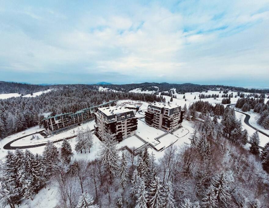 Silver Mountain, Poiana - Forest Crib Apartamento