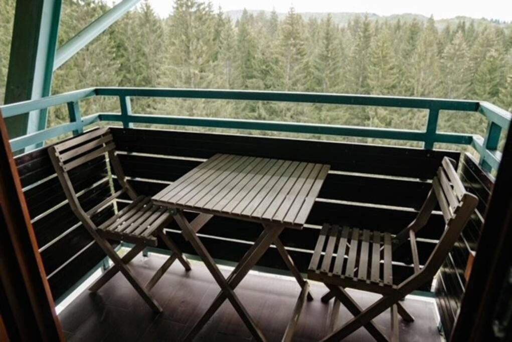 Silver Mountain, Poiana - Forest Crib Apartamento *