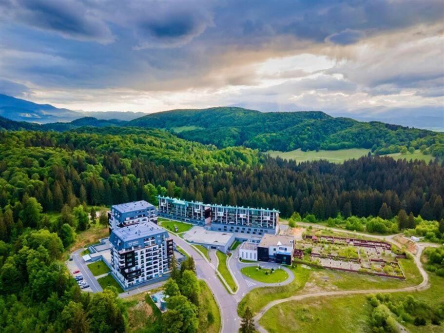Silver Mountain, Poiana - Forest Crib *