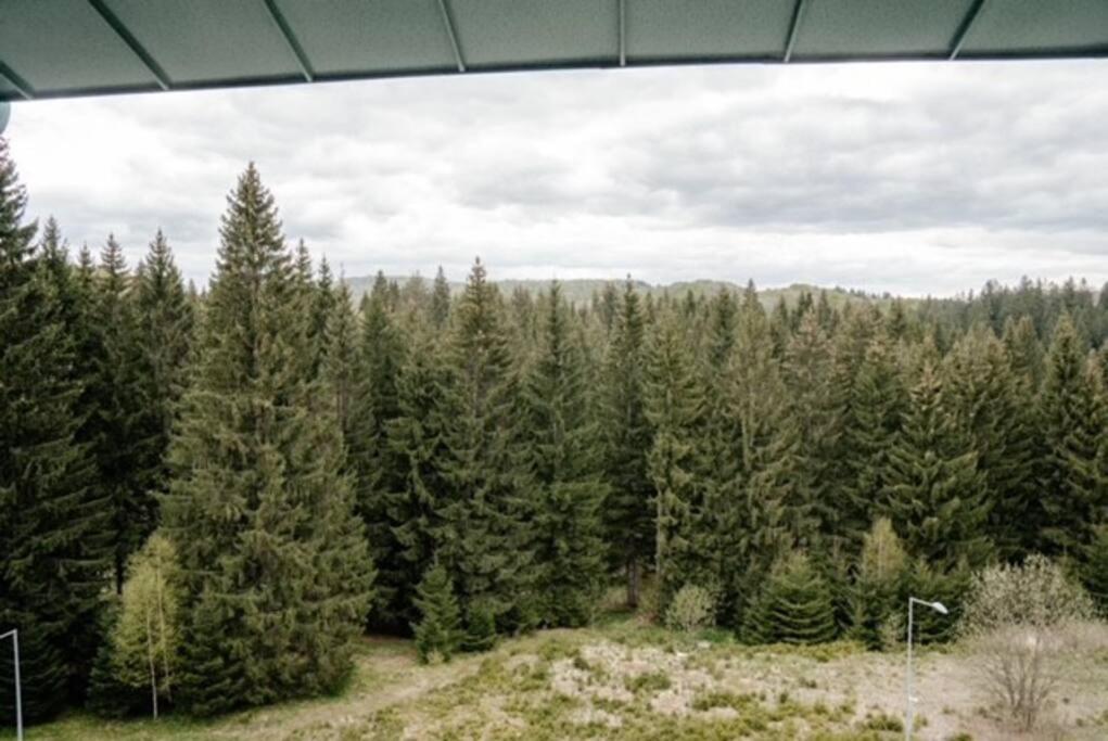 Apartment Silver Mountain, Poiana - Forest Crib Brasov